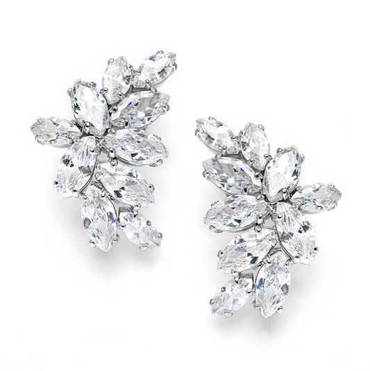 Earrings - Clusters: Crystal Cluster Omega Clasp - Silver